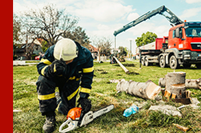 Arborist