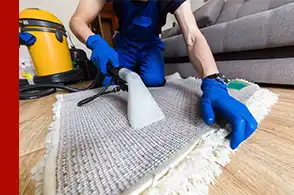 Carpet Cleaner