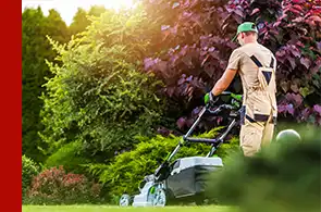 Integrity Consultants - LAWN CARE