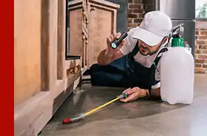 Integrity Consultants - PEST CONTROL