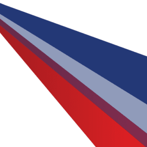 Integrity Consultants - Background