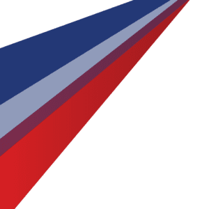 Integrity Consultants - Background